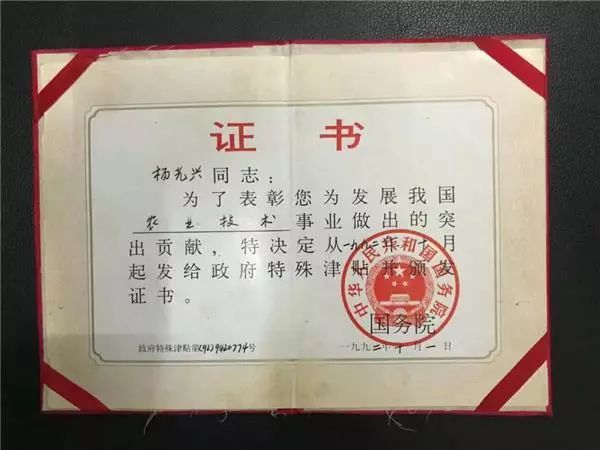 中国茶叶博物馆收藏湖北名茶雾洞绿茶