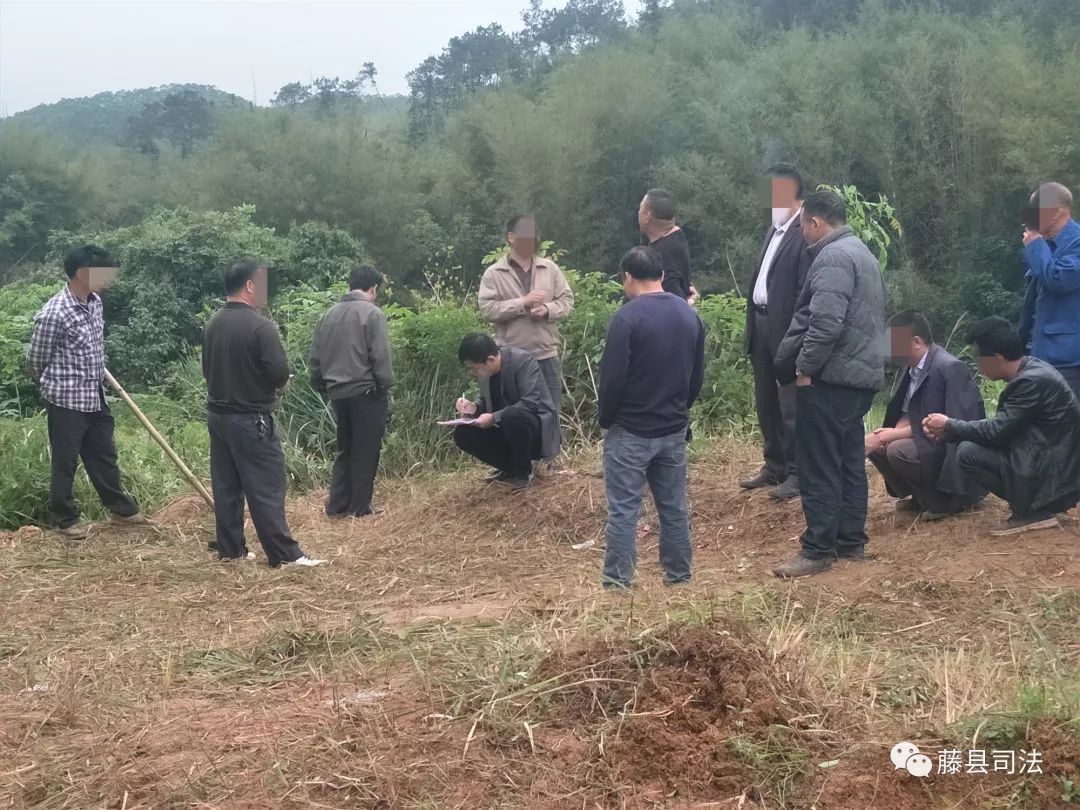 藤縣蒙江墳山糾紛幾十名村民雙方情緒激動結果