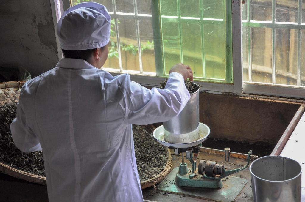 普洱茶压饼工艺详解