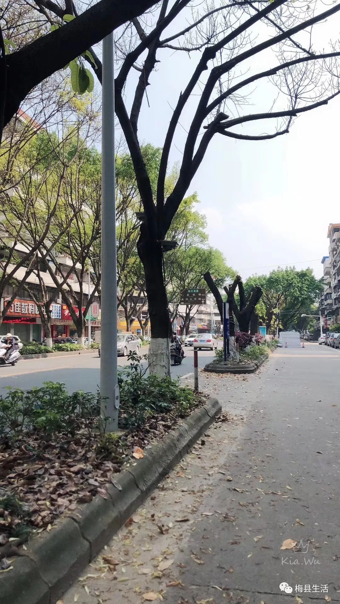 梅城百花洲"大变",网友:难以接受!