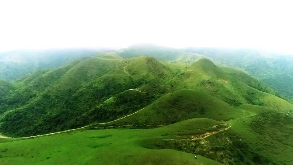 在双滘圩分路处有鸡笼顶方向指示