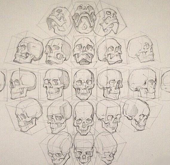 头部不同角度与动态的画法你掌握的怎么样?