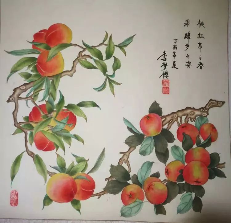 梅子和杏子怎么画?图片