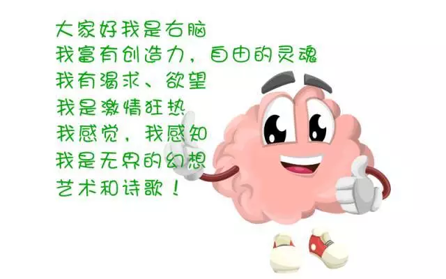 全脑教育