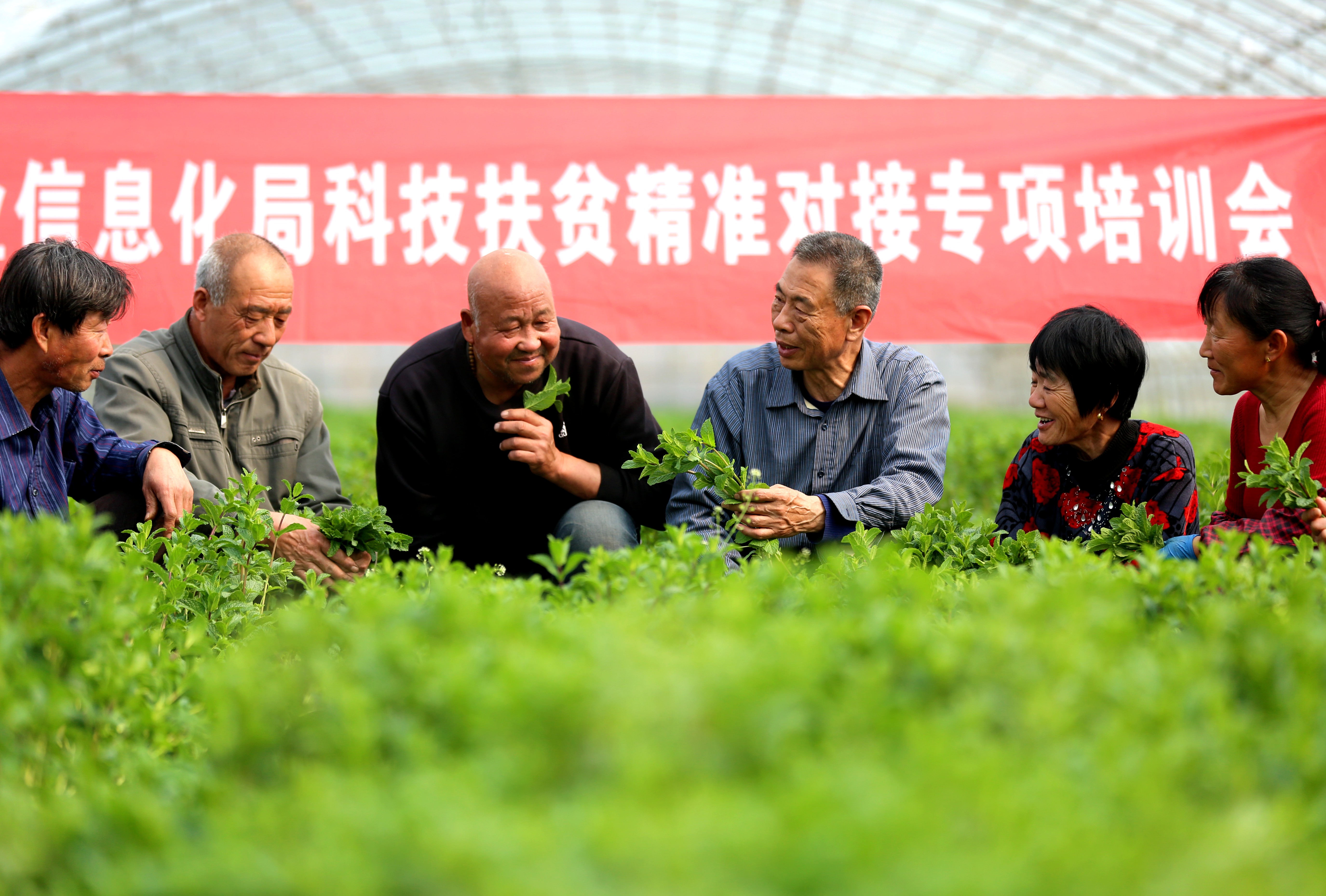 科技扶贫助力村民走上致富路