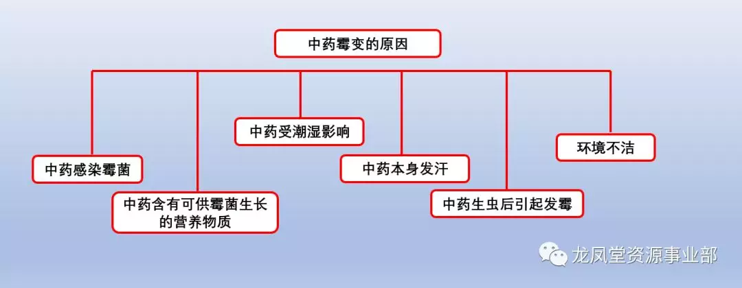 中药常见质量变异现象霉变