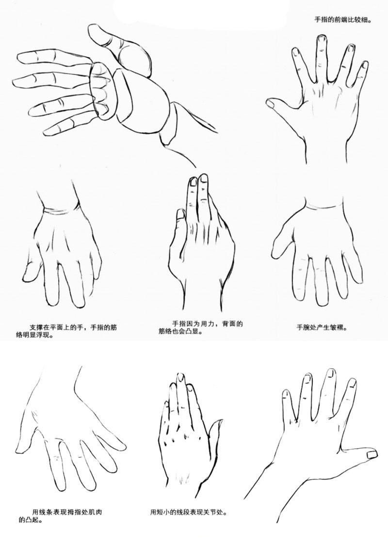 手部的各种形态怎样画动漫人物的手?