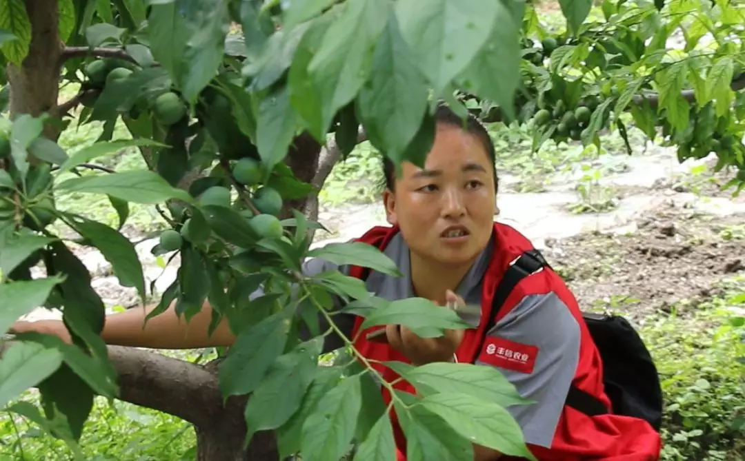 李朝娟:爬过几百座大山,服务农户乐在其中!