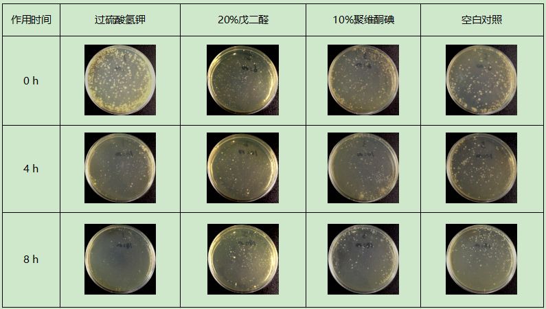 表2,三種消毒劑在養殖水作用一段時間後na平板上細菌的塗布生長情況