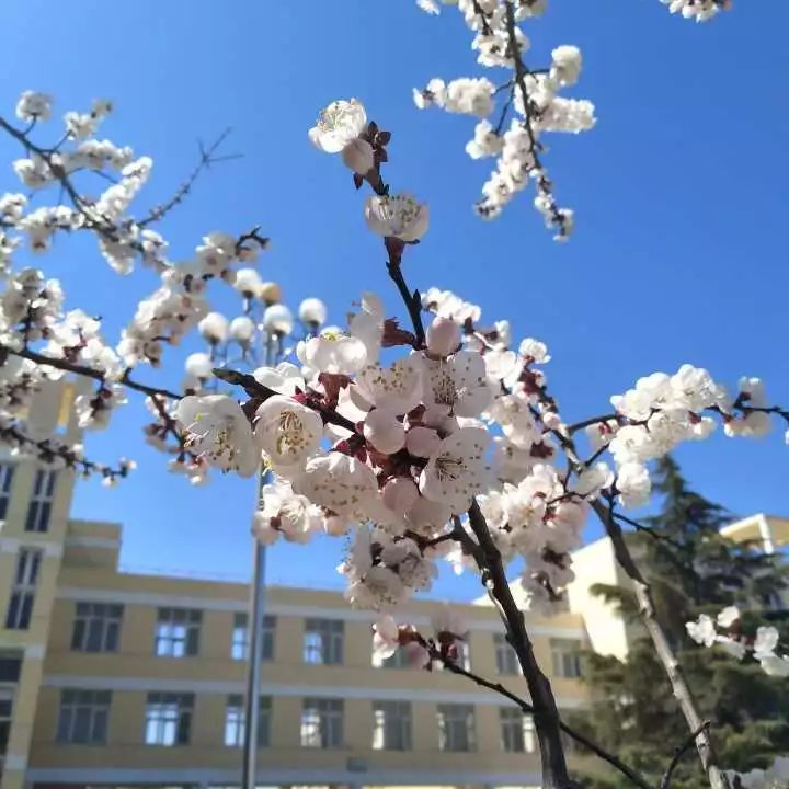 张馨月摄高忻禧摄夏紫薇摄夏紫薇摄高忻禧摄高忻禧摄赵佳楹摄刘天宇摄