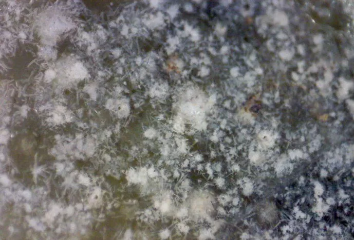 高古瓷釉面结晶体微观图—宏观与微观相结合