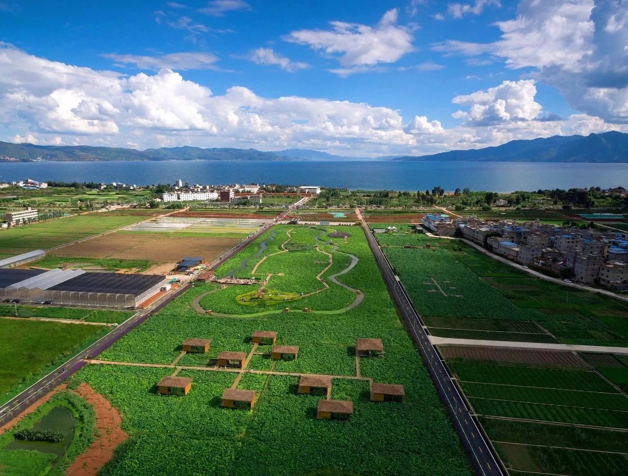 醉美玉溪,每个月都有不同的风景