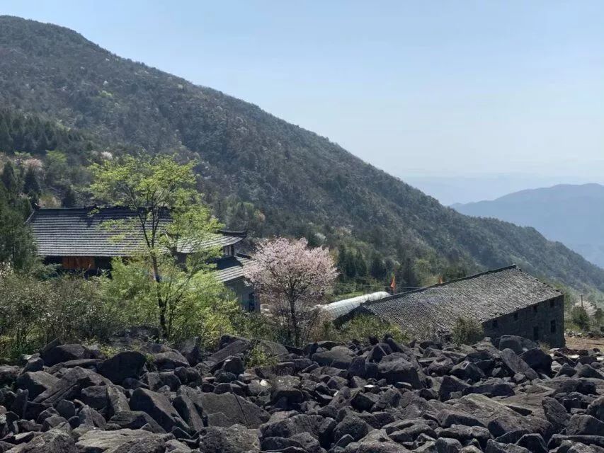 天台九龙寺图片