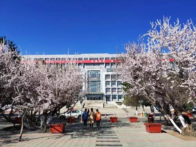 内蒙古师范大学塞罕图片