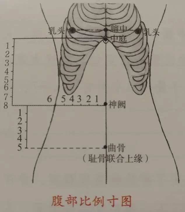 胸剑联合位置图片