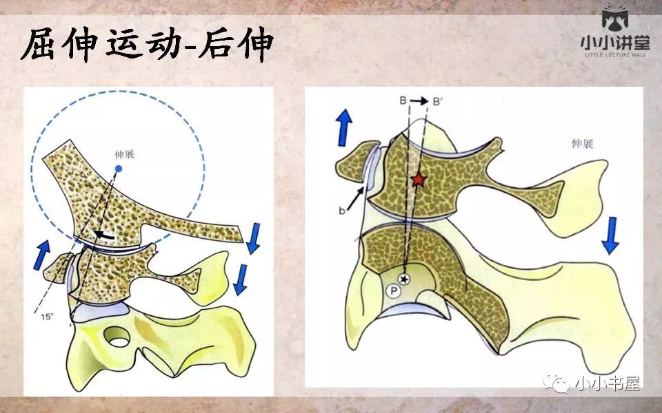 小小講堂寰樞關節半脫位的診斷二