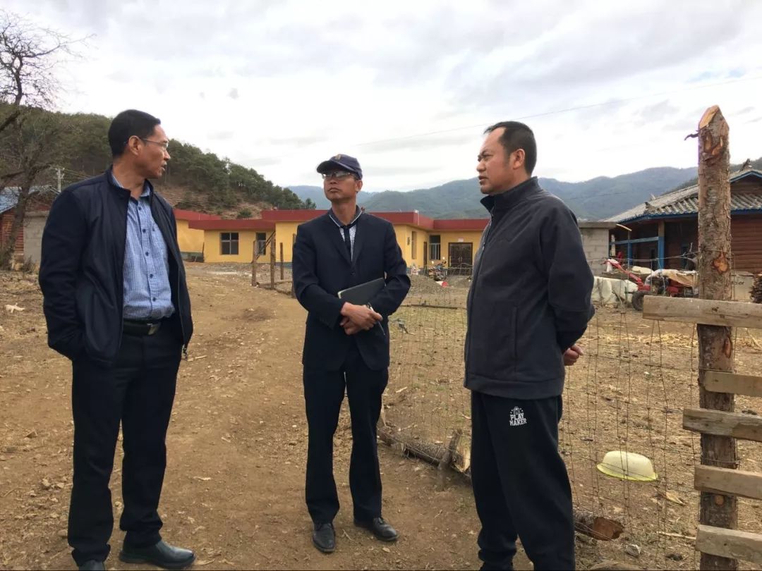 扎囊县高端网站建设_(扎囊县高端网站建设项目)