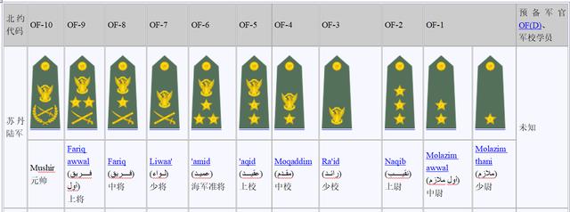 原创从苏丹军事政变看三军军衔,陆军有元帅海空军没有,士兵难区分