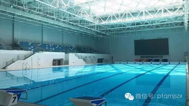 普陀区体育中心游泳馆图片
