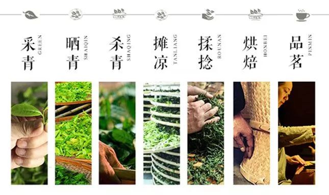 绿茶制茶过程图片