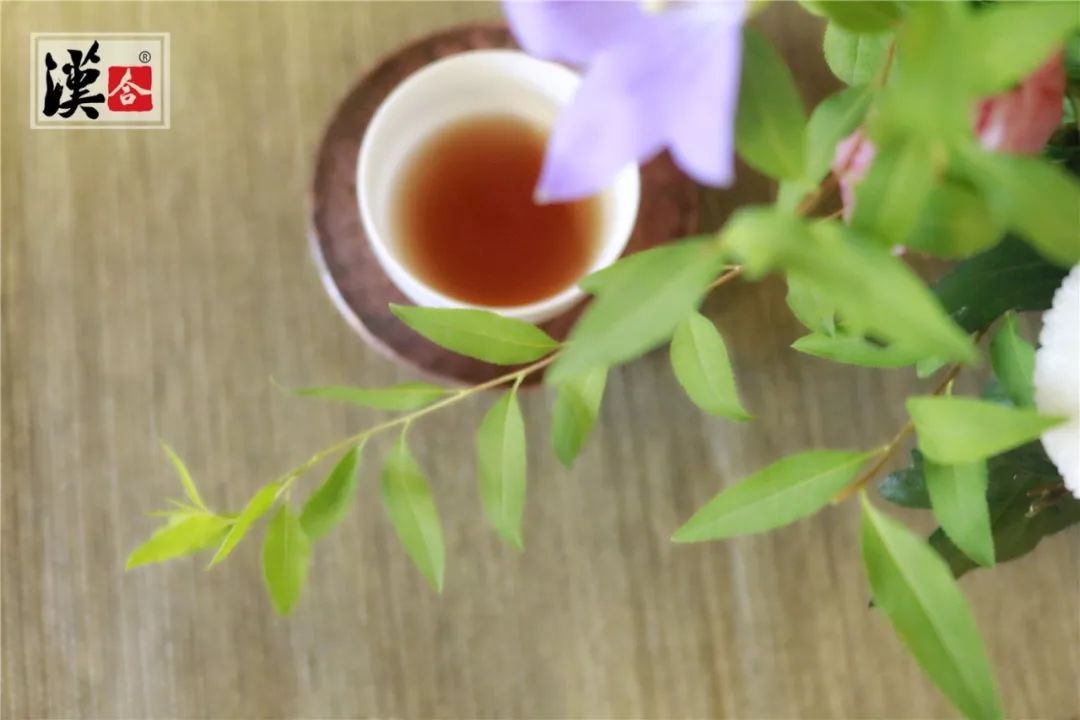 茶,詩意生活的起點!_茶道