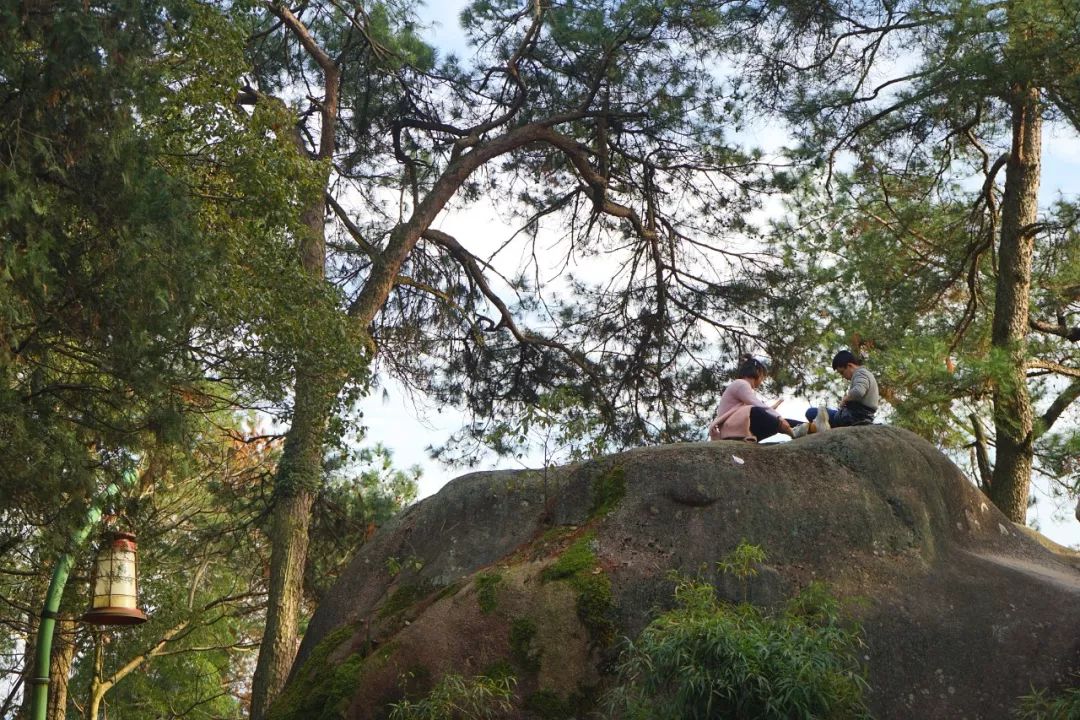 青田太鹤山图片