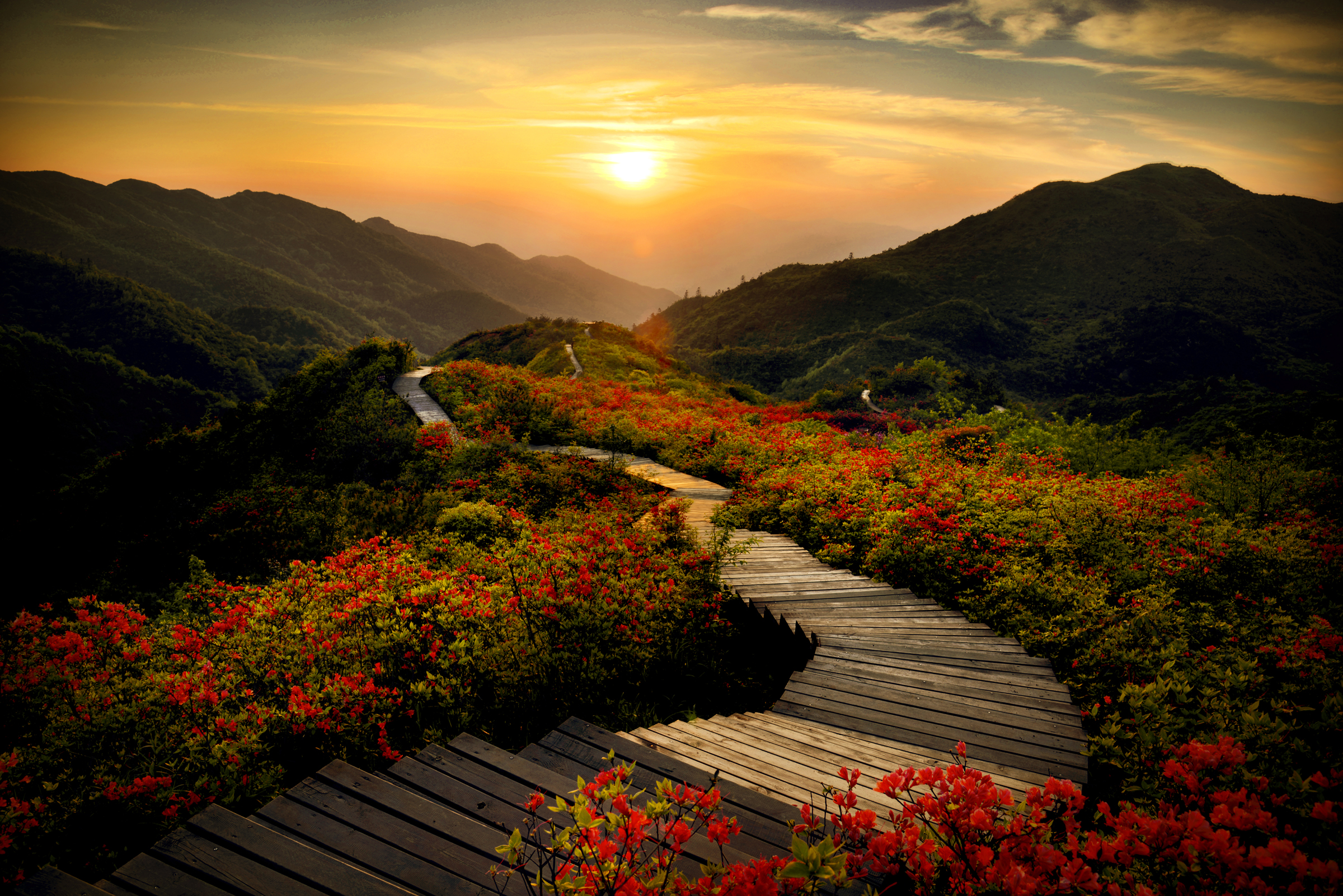 大围山风景区介绍图片