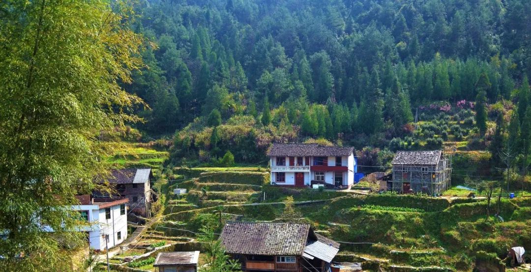 毛家坪村位于福安市范坑乡北部,地处闽浙两省福安,寿宁,泰顺三县交界