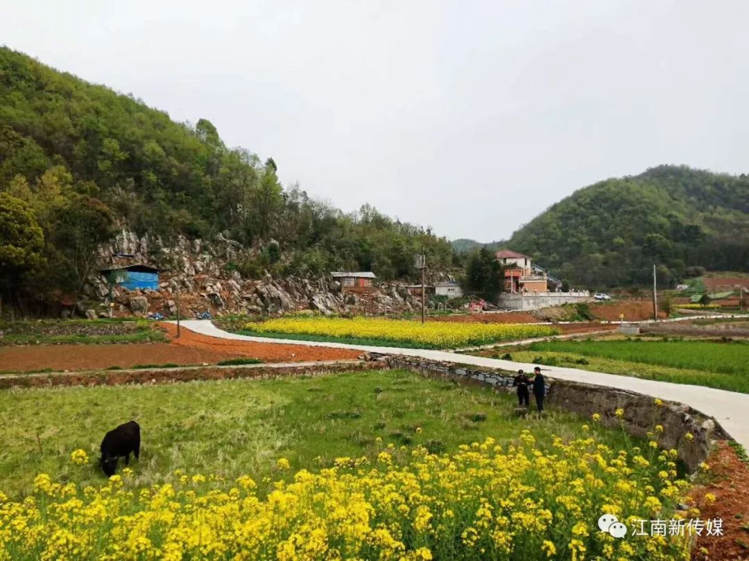 刘家场镇发展规划图片