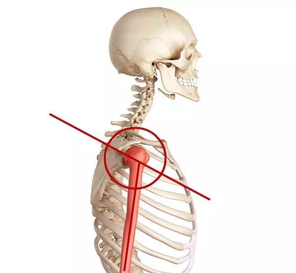 提高稳定性和圆肩很像很像的肱骨前移