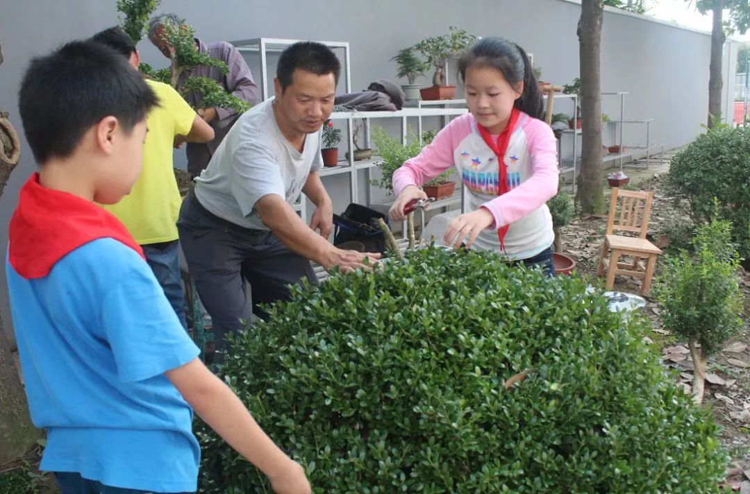 崇明这所学校半年有近百人得奖,学生的技能都不同寻常