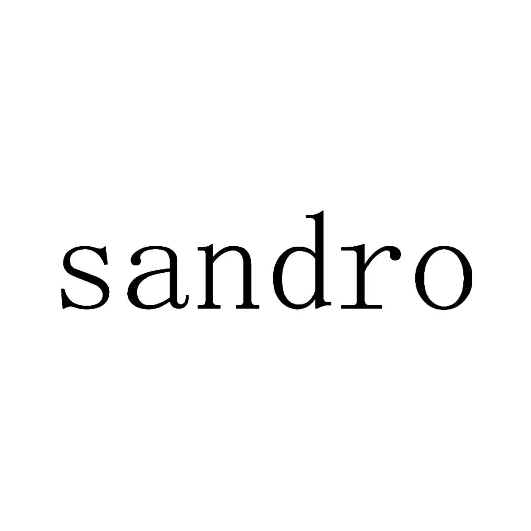 sandisklogo图片