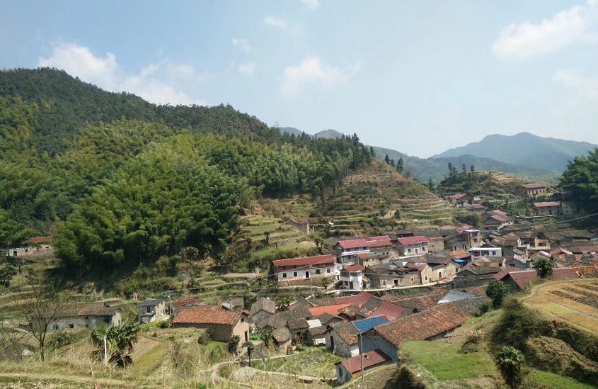 雅溪镇岱后村穷山村的华丽蜕变山沟沟挡不住致富路