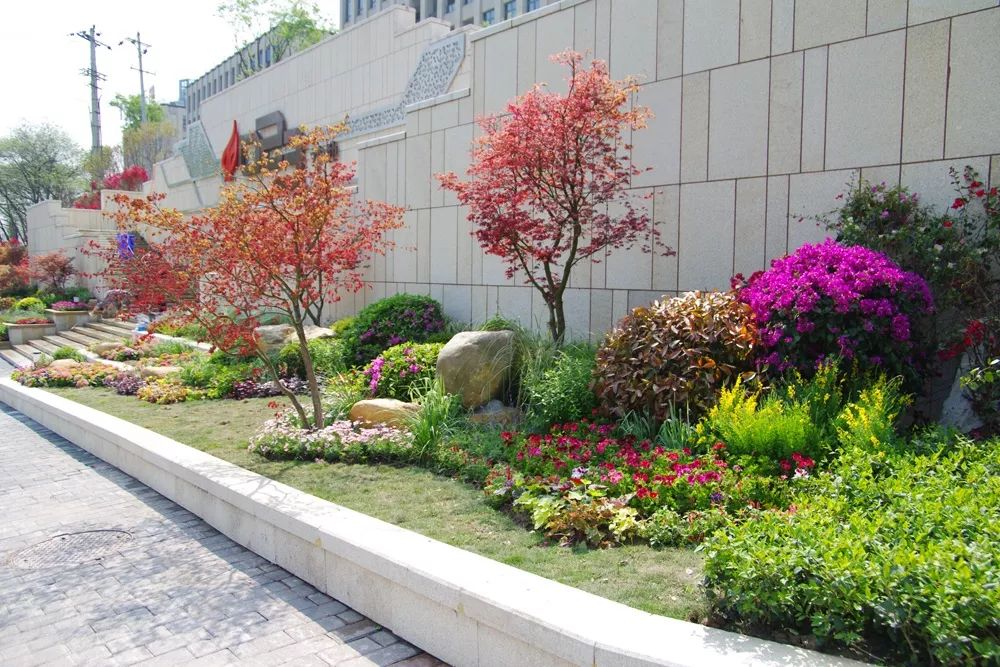 九龙坡开展城市提升春季行动打造高品质园林绿化景观