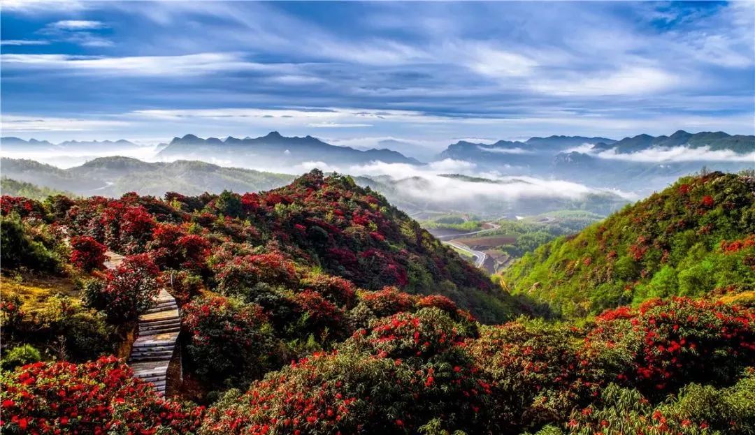 毕节八大景图片