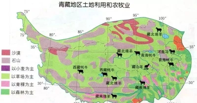 2019年高考热点问题专题探究河谷农业