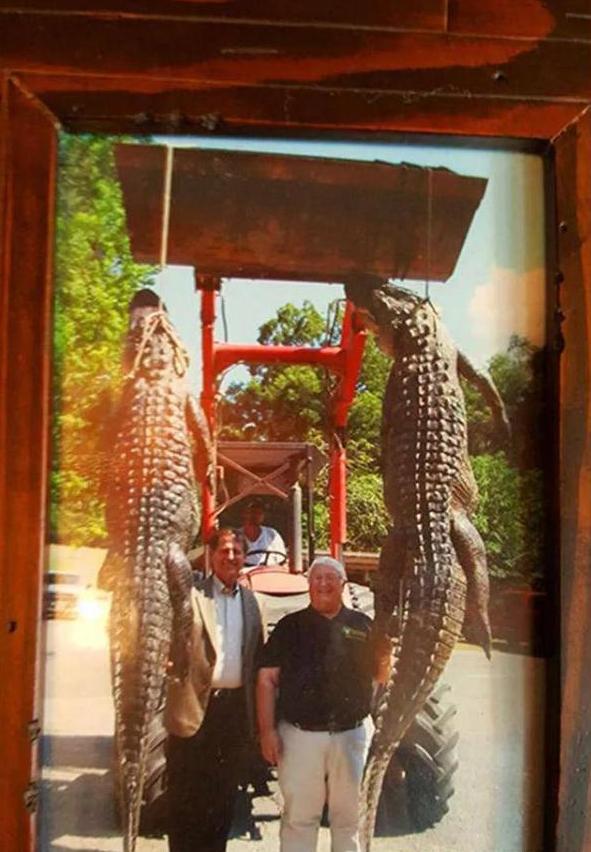 這家監獄越獄率為0，開門也不敢逃走，堪稱最讓人絕望的監獄 旅遊 第4張