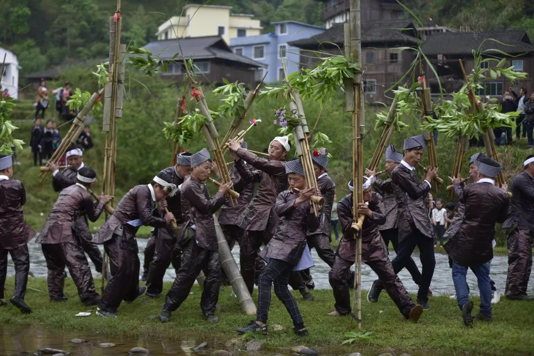 苗族同胞在吹蘆笙 (吳德軍攝)苗族同胞在搶野雞 (吳德軍攝)苗族同胞在