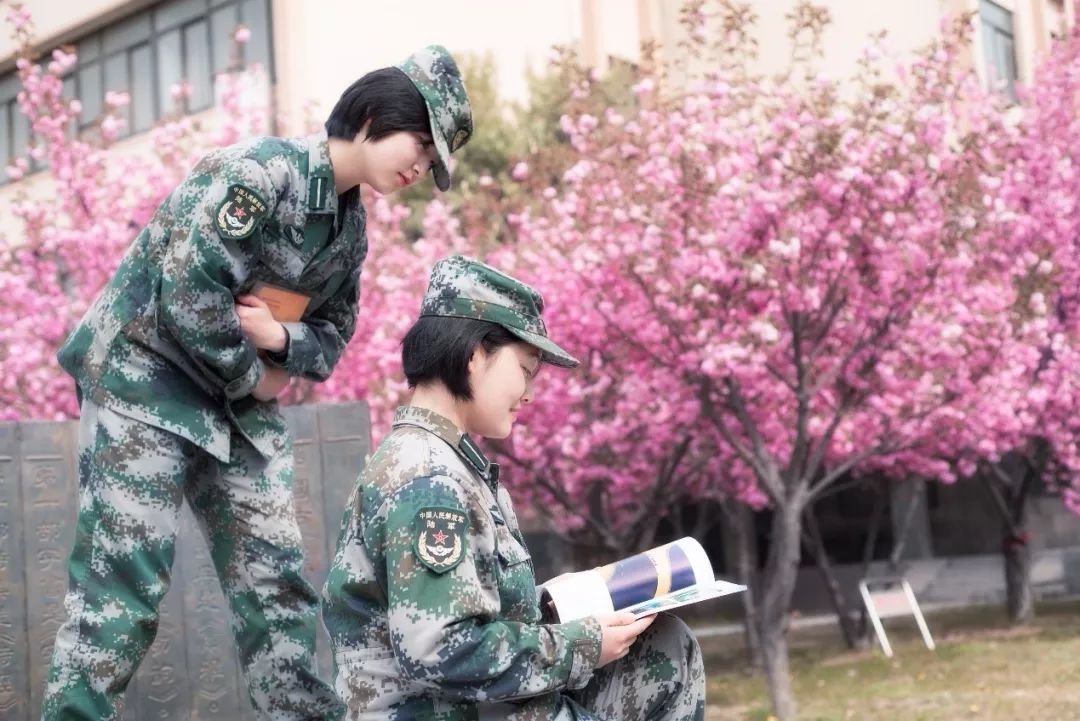 浙江紹興哪裡有小學生軍事化學校對於家庭教育諮詢的消費並非是一次性