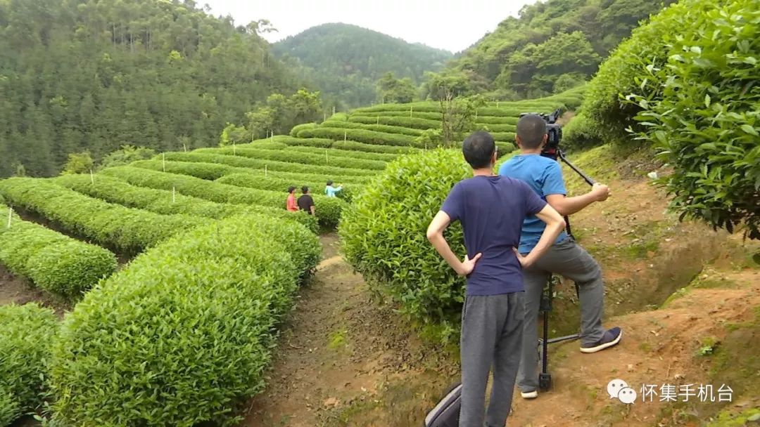 怀集新岗茶场图片