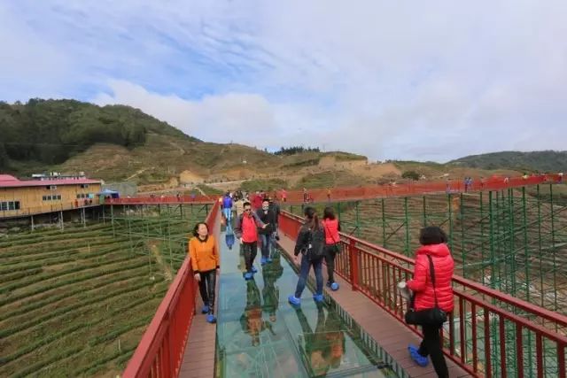 周宁鲤鱼溪,杜娟花海小镇,苏家山玻璃栈道一日游