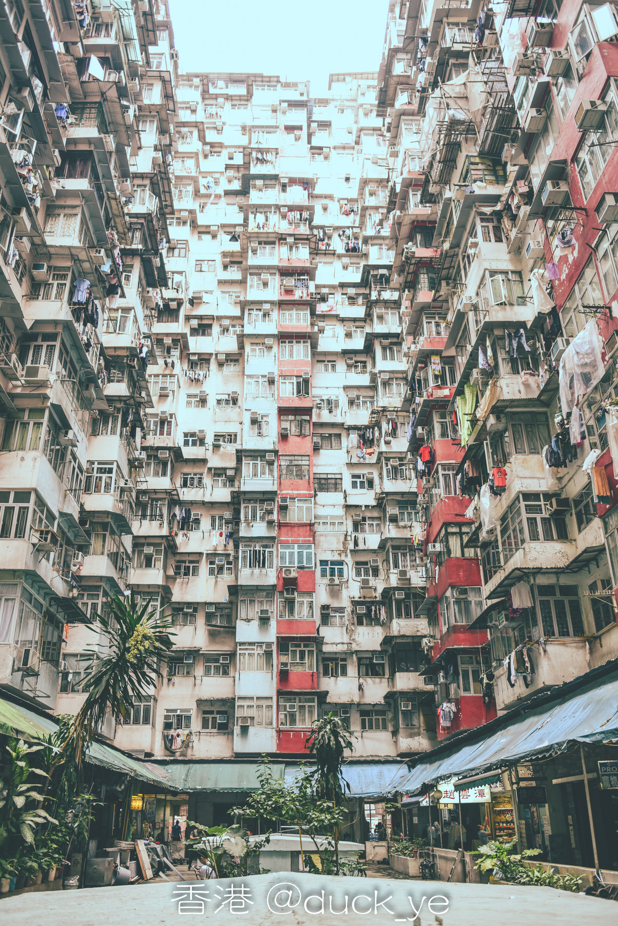 香港海山楼图片