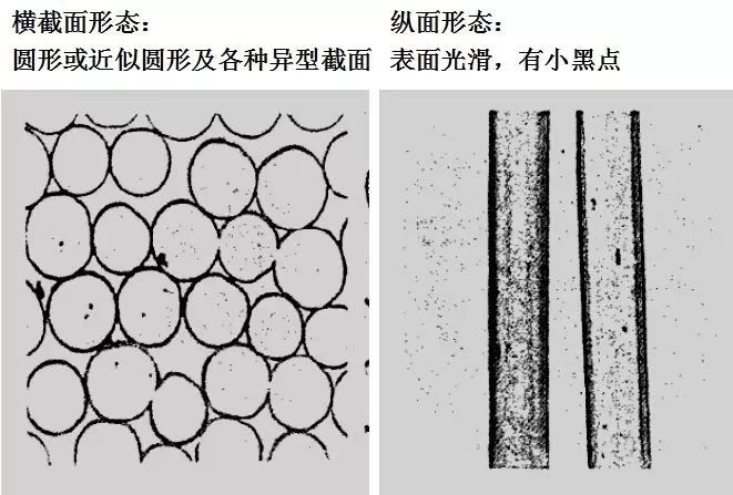 蚕丝纤维截面图片