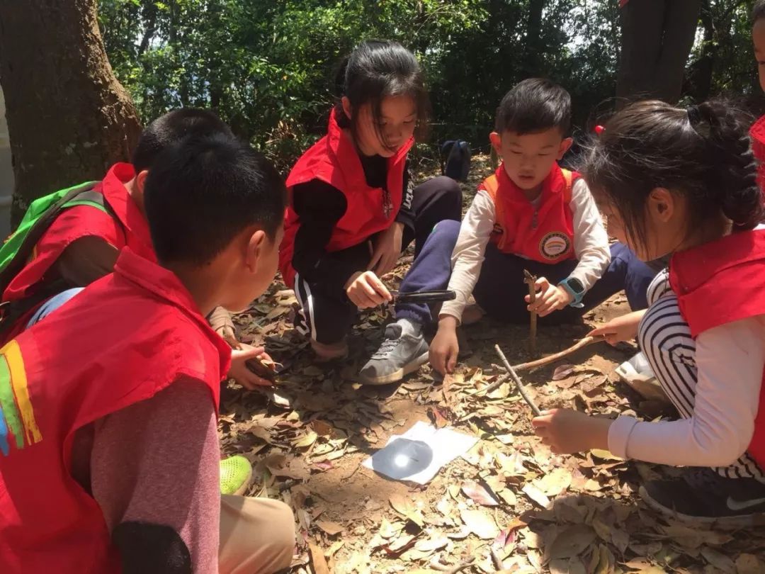 【五一营】荒岛求生真人版,48小时挑战生存极限