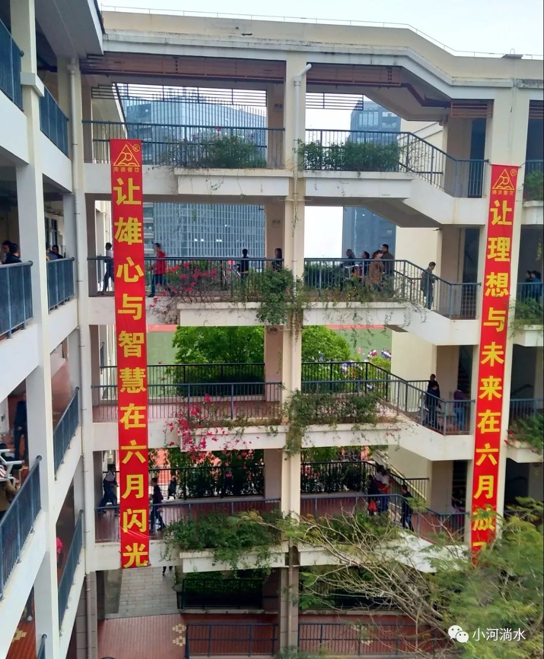 观音山音乐学校图片