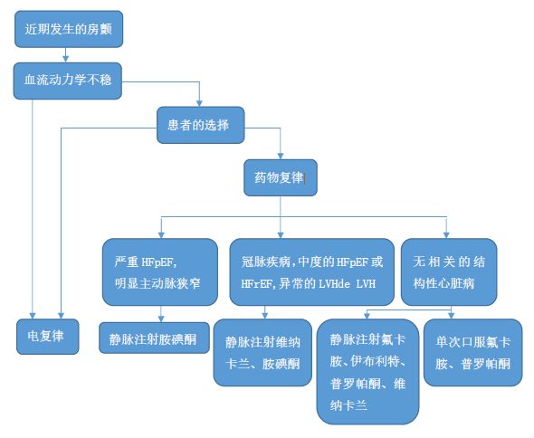 多非利特说明书图片