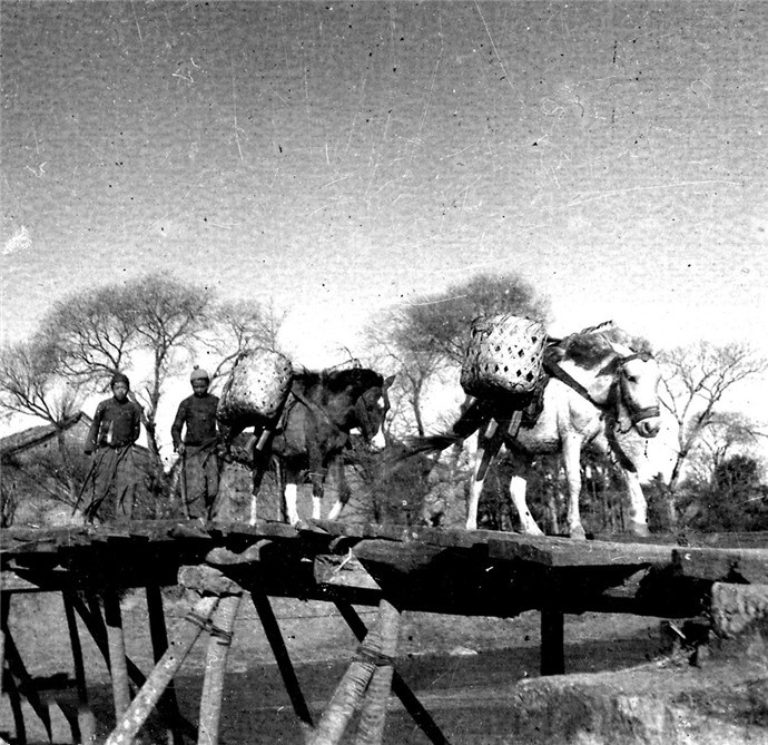 1940年代云南的昆明和陆良马帮行走在木桥上妇女出售自织的布匹