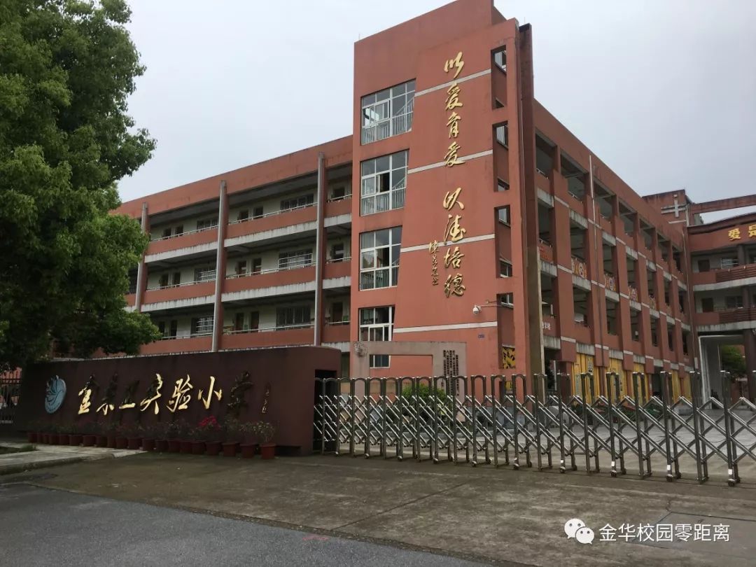 近段时间,金东区教育体育局进行了学区内小学和初中适龄儿童人数的