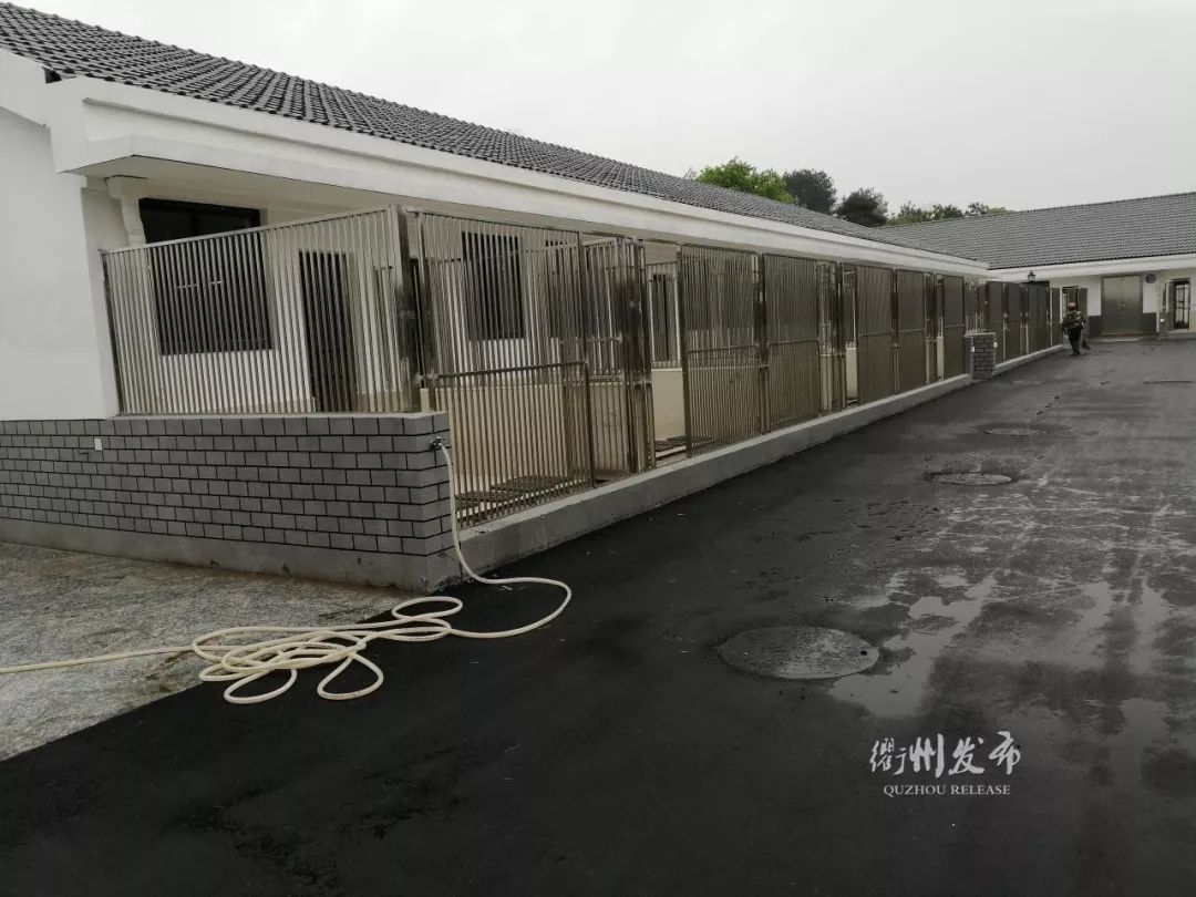 狗舍怎样建设最好图片