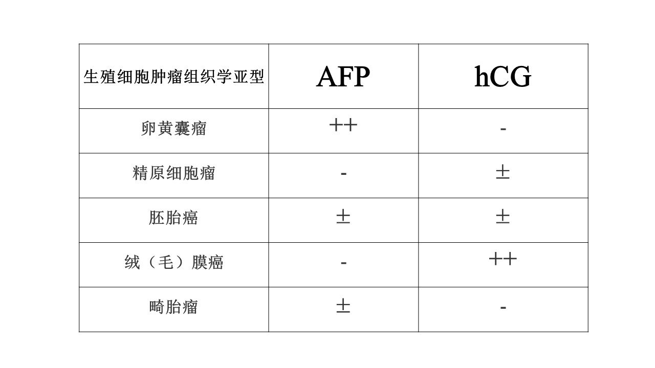 附表一:生殖細胞腫瘤中的血清afp和hcg升高情況ldh是一種能催化乳酸